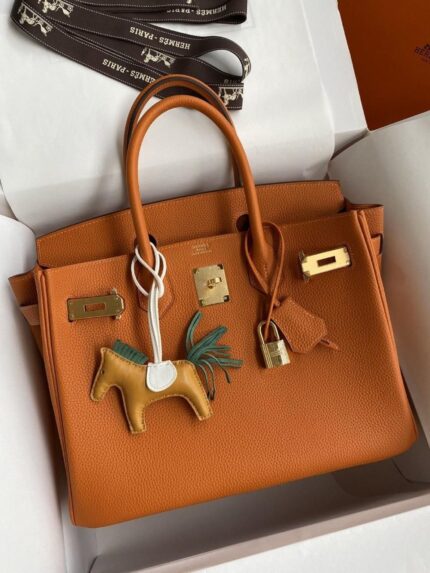 Hermès Birkin bag, a classic leather handbag known as a symbol of luxury and exclusivity