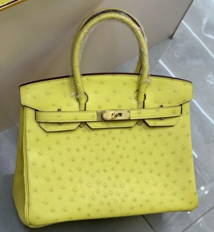 Hermès Birkin 30 handbag in Vert Anis ostrich leather with palladium hardware