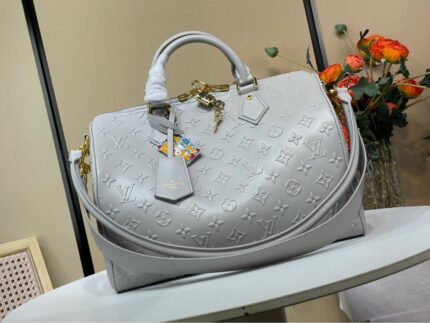 Louis Vuitton Speedy Soft 30 handbag in gray