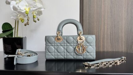 Dior Lady D-Joy bag