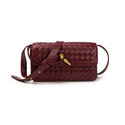 Bottega Veneta Andiamo mini crossbody bag in Barolo (burgundy) leather